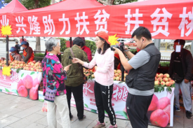 BOB�������ߡ�(�й�)����